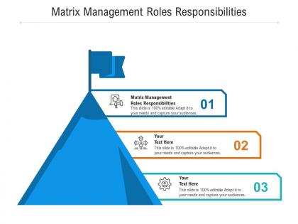 Matrix management roles responsibilities ppt powerpoint presentation layouts deck cpb