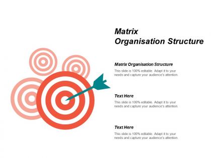 Matrix organisation structure ppt powerpoint presentation infographics show cpb