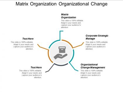 Matrix organization organizational change management corporate strategic manage cpb