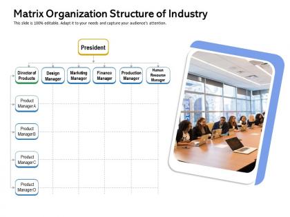 Matrix organization structure of industry