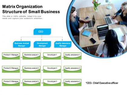 Matrix organization structure of small business