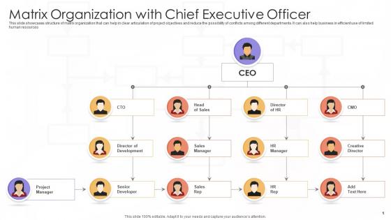 Matrix Organization With Chief Executive Officer