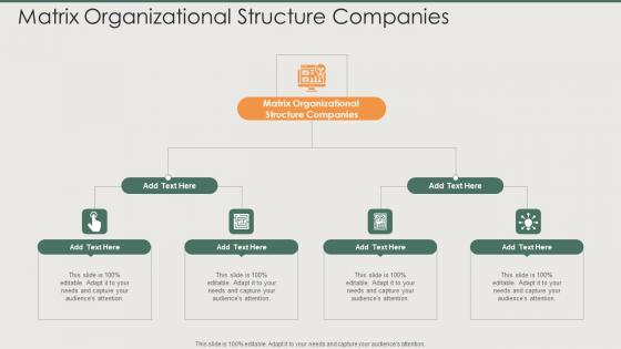 Matrix Organizational Structure Companies In Powerpoint And Google Slides Cpb