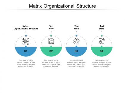 Matrix organizational structure ppt powerpoint presentation inspiration format ideas cpb