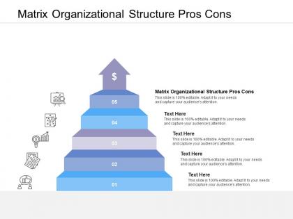 Matrix organizational structure pros cons ppt powerpoint presentation visual aids diagrams cpb