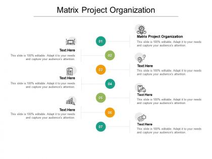 Matrix project organization ppt powerpoint presentation outline pictures cpb