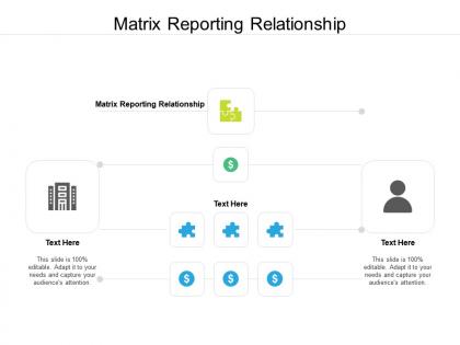 Matrix reporting relationship ppt powerpoint presentation show graphic images cpb