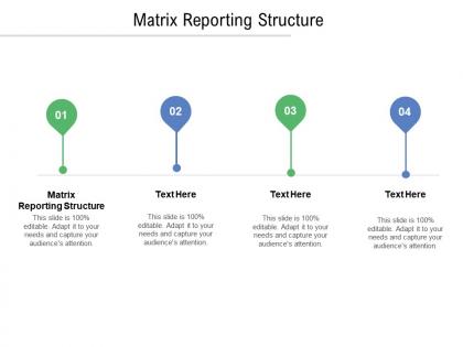 Matrix reporting structure ppt powerpoint presentation outline slide cpb