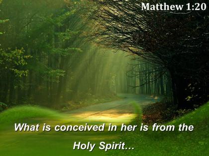 Matthew 1 20 what is conceived in her powerpoint church sermon
