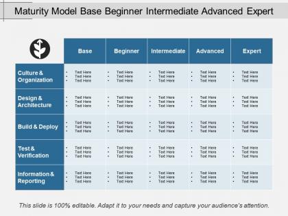 Maturity model base beginner intermediate advanced expert