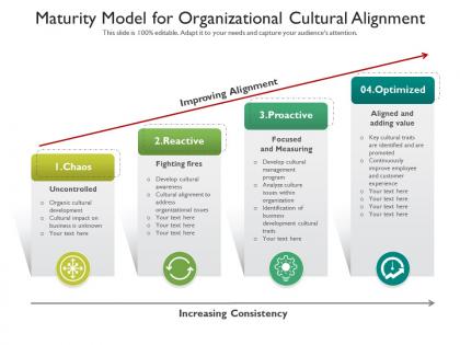 Maturity model for organizational cultural alignment