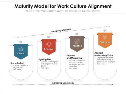 Maturity model for work culture alignment