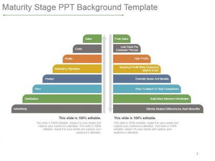 Maturity stage ppt background template