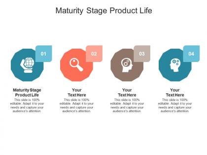 Maturity stage product life ppt powerpoint presentation show file formats cpb