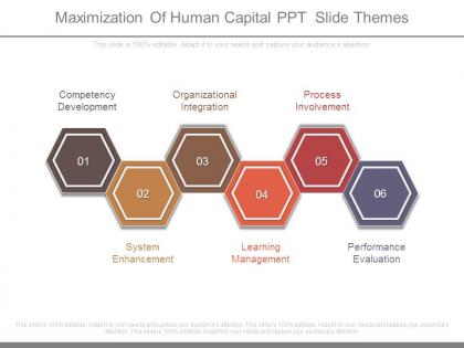 Maximization of human capital ppt slide themes