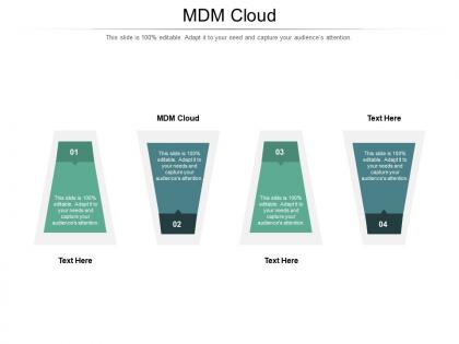 Mdm cloud ppt powerpoint presentation summary portrait cpb