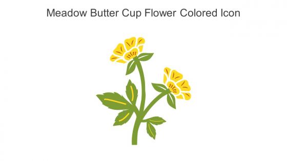 Meadow Butter Cup Flower Colored Icon In Powerpoint Pptx Png And Editable Eps Format