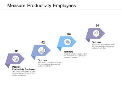 Measure productivity employees ppt powerpoint presentation portfolio information cpb