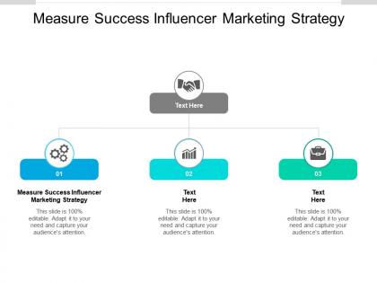 Measure success influencer marketing strategy ppt powerpoint presentation icon outfit cpb