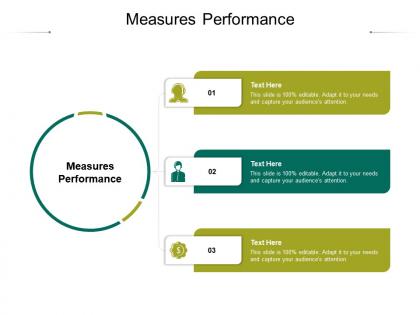 Measures performance ppt powerpoint presentation layouts summary cpb