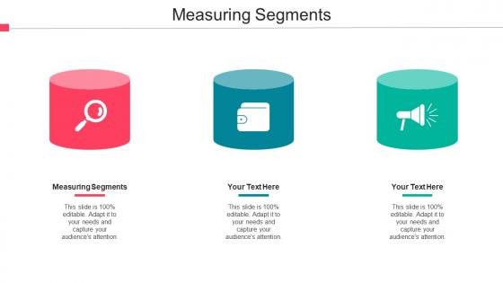 Measuring Segments Ppt Powerpoint Presentation Professional Graphics Design Cpb