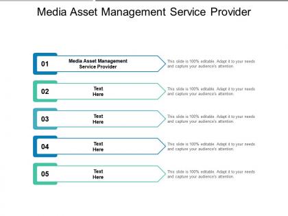 Media asset management service provider ppt powerpoint outline gridlines cpb
