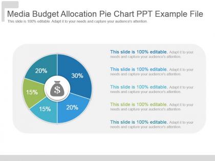 Media budget allocation pie chart ppt example file
