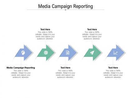 Media campaign reporting ppt powerpoint presentation show ideas cpb