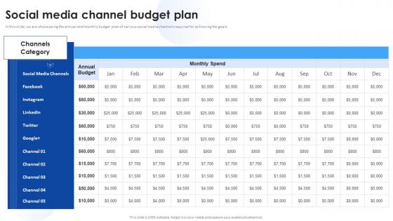 Media Marketing Social Media Channel Budget Plan Ppt Infographic Template Diagrams