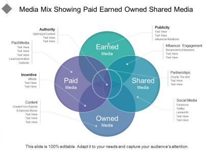 Media mix showing paid earned owned shared media