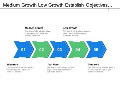 Medium growth low growth establish objectives set strategy