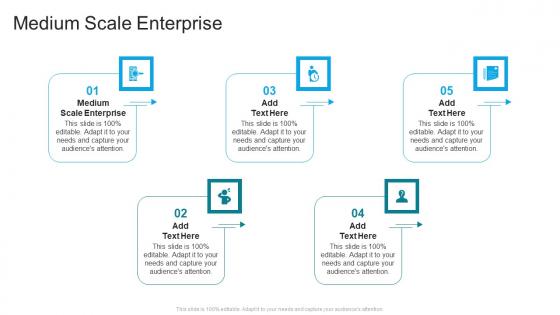 Medium Scale Enterprise In Powerpoint And Google Slides Cpb
