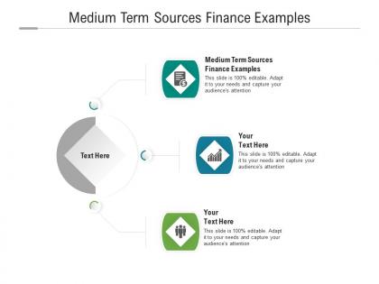 Medium term sources finance examples ppt powerpoint presentation slides visuals cpb