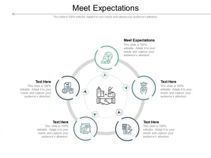 Meet expectations ppt powerpoint presentation pictures themes cpb