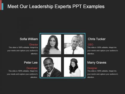 Meet our leadership experts ppt examples