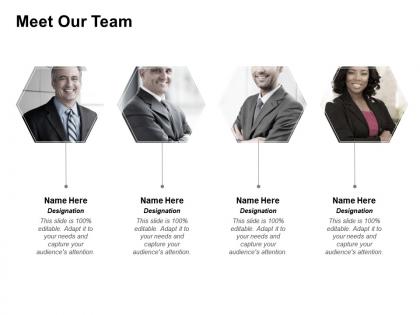 Meet our team communication c101 ppt powerpoint presentation icon summary