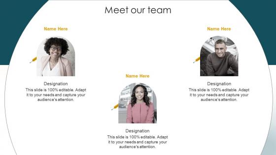 Meet Our Team Customer Acquisition Strategies To Increase Sales Ppt Demonstration