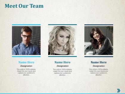 Meet our team introduction ppt professional infographic template