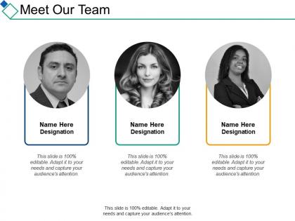 Meet our team introduction ppt summary designs download