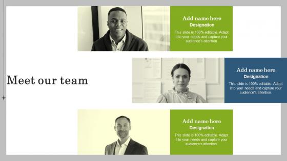 Meet Our Team Marketing Plan To Launch New Service