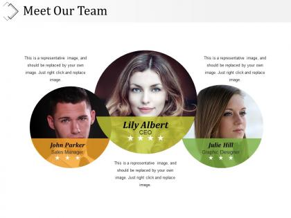Meet our team presentation powerpoint templates