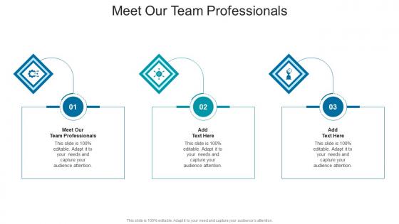 Meet Our Team Professionals In Powerpoint And Google Slides Cpb
