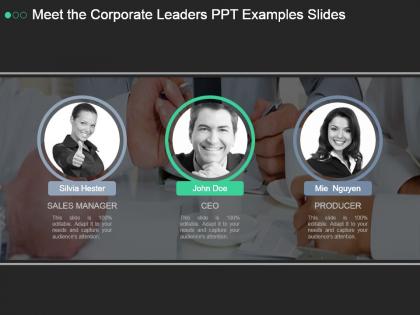 Meet the corporate leaders ppt examples slides
