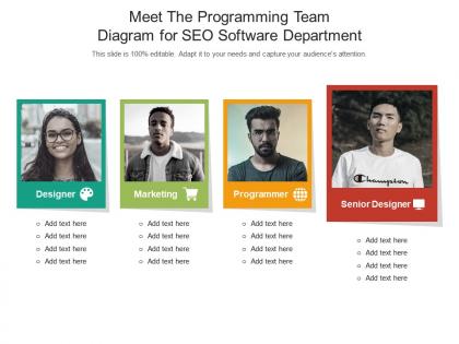 Meet the programming team diagram for seo software department infographic template