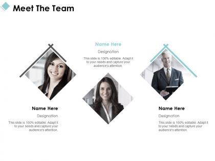 Meet the team introduction c1021 ppt powerpoint presentation file samples
