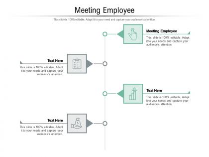 Meeting employee ppt powerpoint presentation icon background cpb