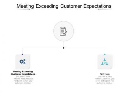 Meeting exceeding customer expectations ppt powerpoint presentation styles graphics cpb
