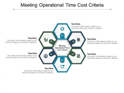 Meeting operational time cost criteria ppt powerpoint presentation icon example topics cpb