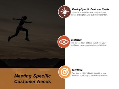 Meeting specific customer needs ppt powerpoint presentation model microsoft cpb