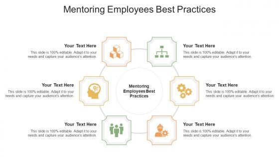 Mentoring Employees Best Practices Ppt Powerpoint Presentation Portfolio Show Cpb